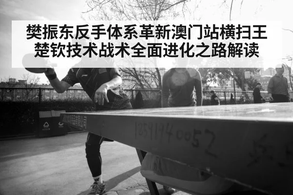 樊振东反手体系革新澳门站横扫王楚钦技术战术全面进化之路解读