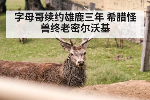字母哥续约雄鹿三年 希腊怪兽终老密尔沃基